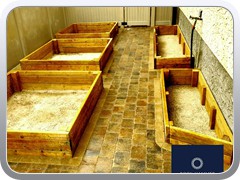 Garden Beds