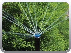 Irrigation Head