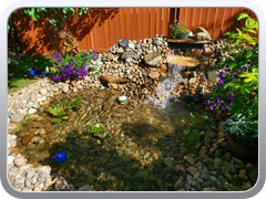 Water Feature