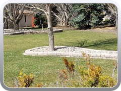 Raised Beds
